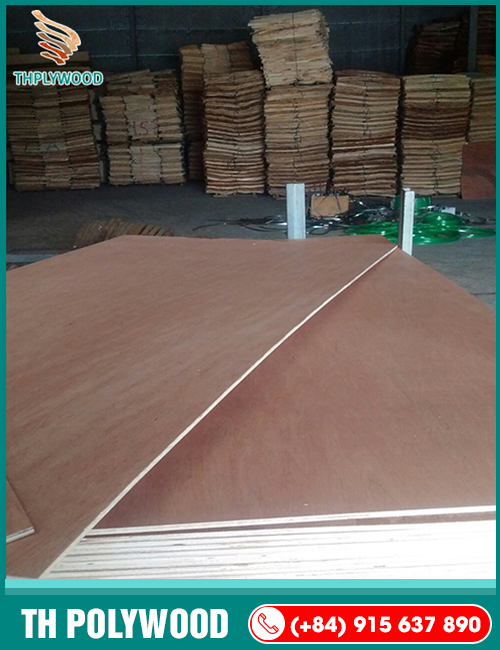 Bintagor Commercial Plywood